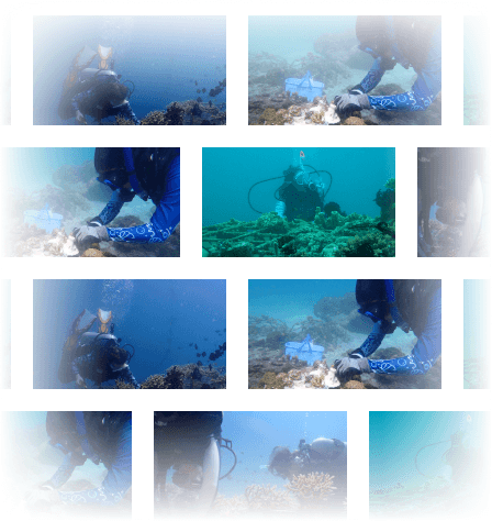 Home to marine life