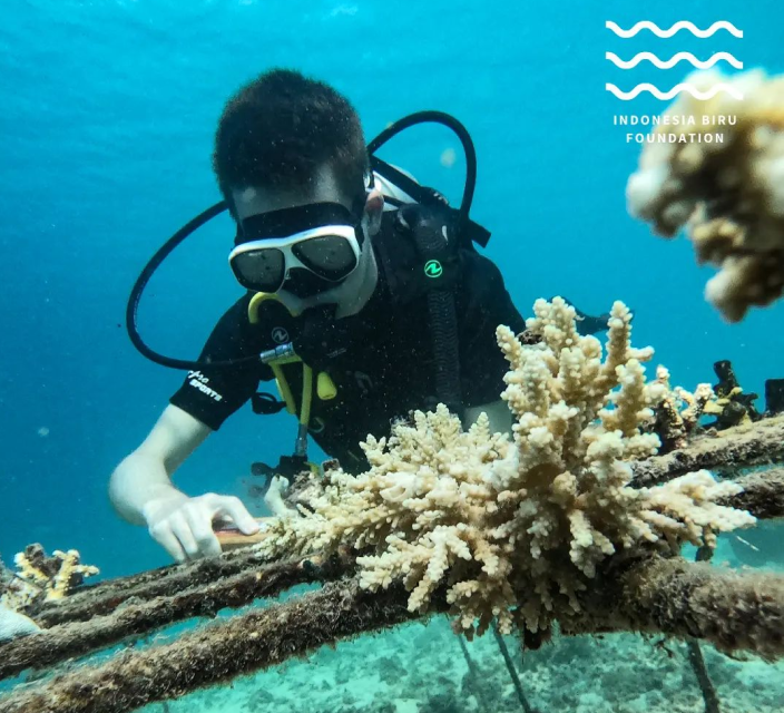 The Indonesia Biru Foundation (IBF) - Activity 4